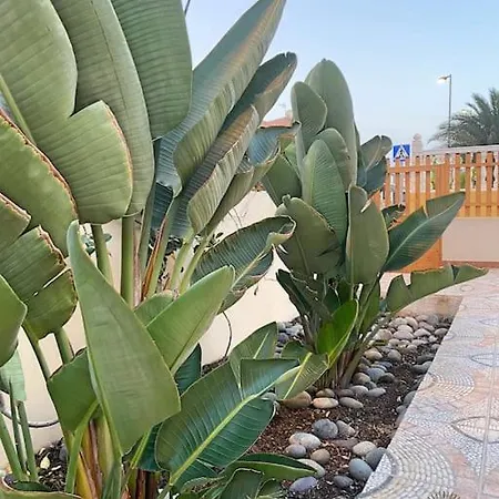 Villa Fatima - Big Terrace & Bbq *